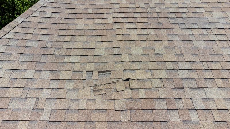 Asphalt Roof Inspection in James City County, VA