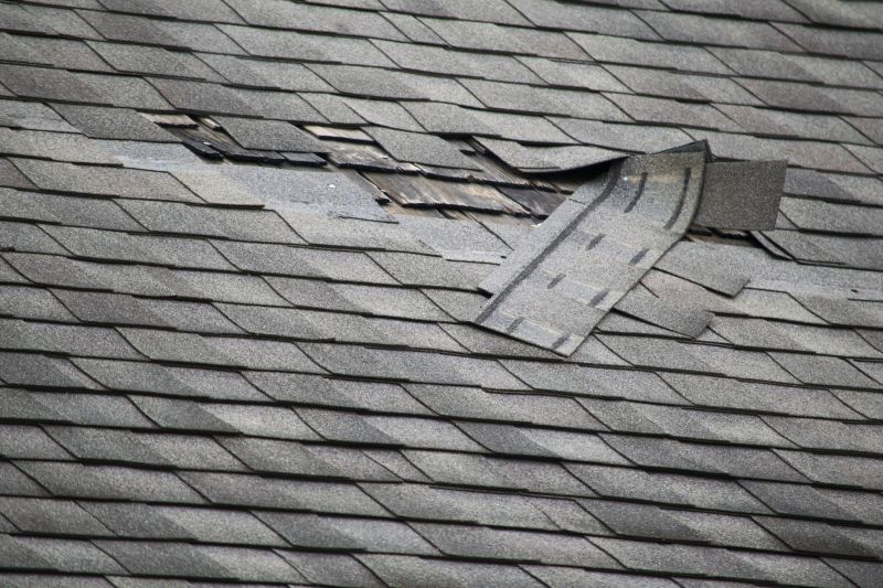 Asphalt Roof Repair in Hudgins, VA