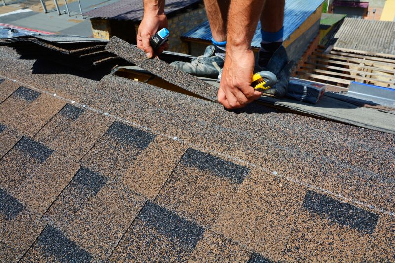 Asphalt Roof Repair in Lanexa, VA