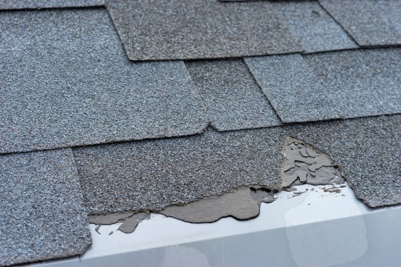 Damaged Roof Repair in James City County, VA