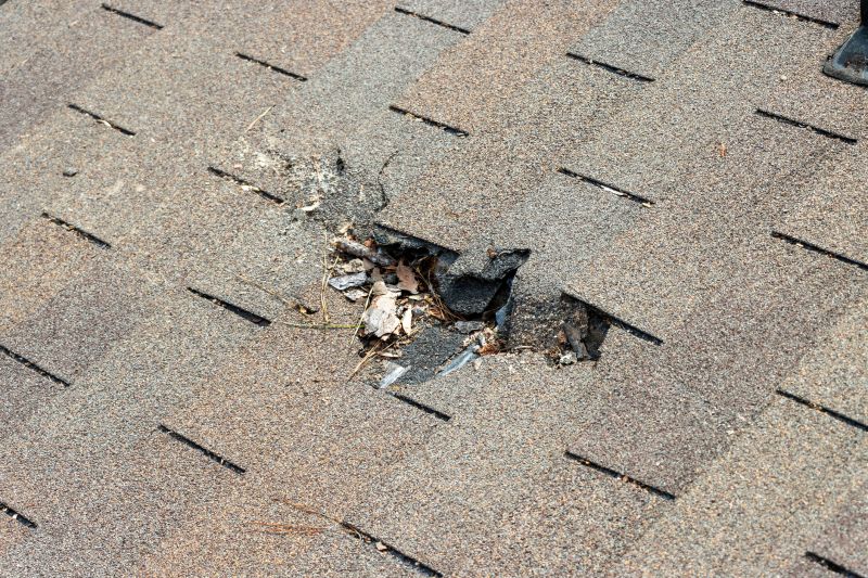 Damaged Roof Replacement in Burgess, VA