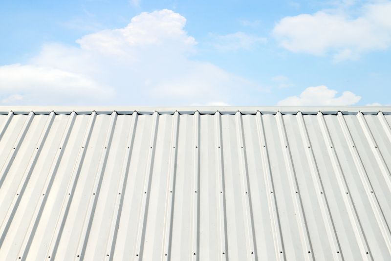 Metal Roof Coating Service in Middlesex County, VA