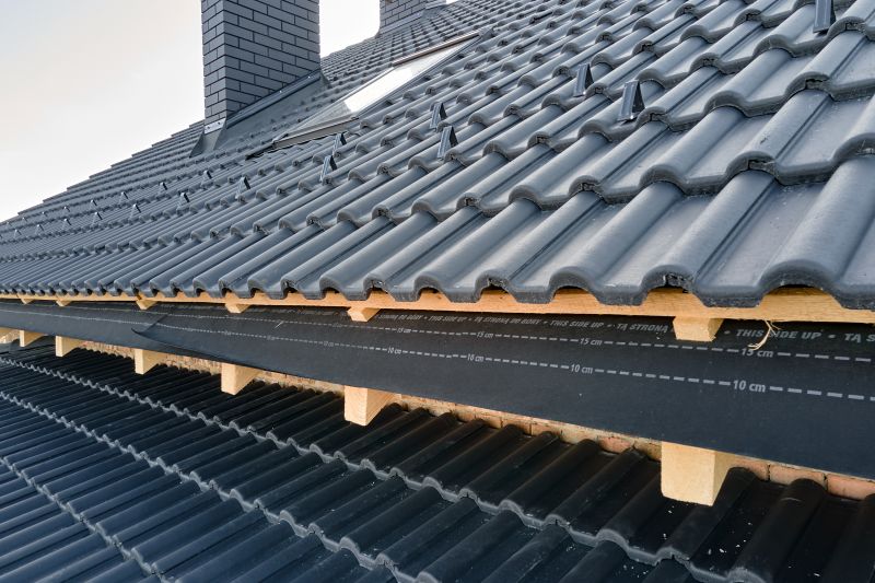Roof Construction in Cardinal, VA