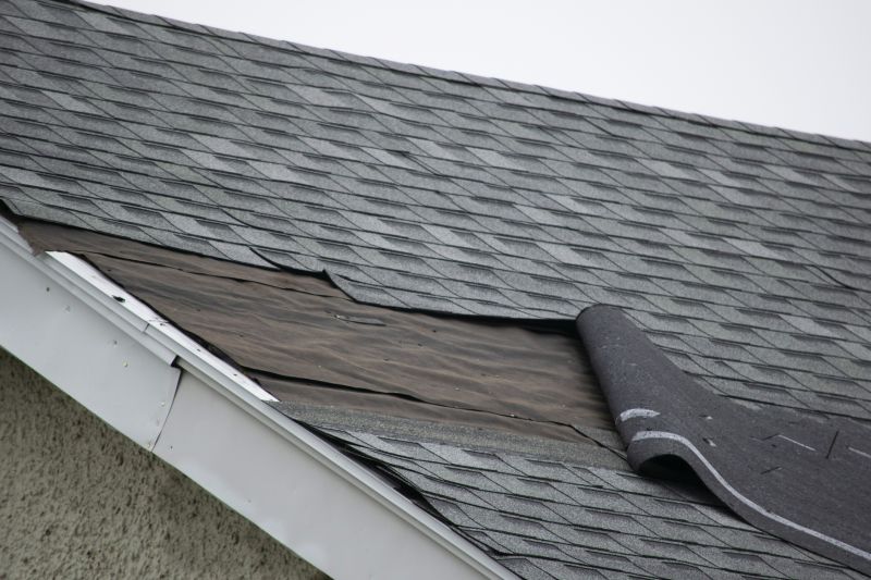 Roof Ridge Repair in Middlesex County, VA