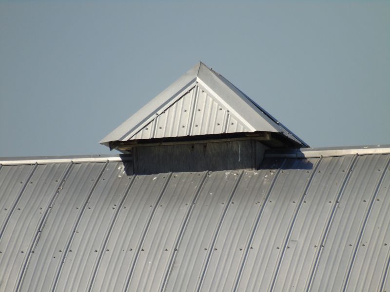Tin Roof Installation in Cardinal, VA