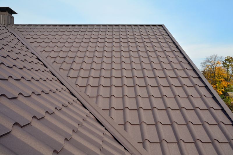 Tin Roof Installation in Middlesex County, VA