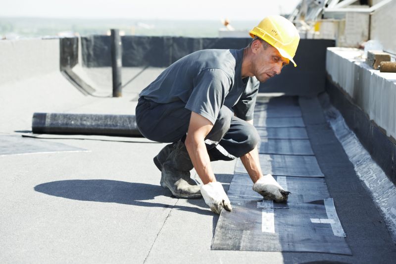 Tpo Roof Repair in Lively, VA