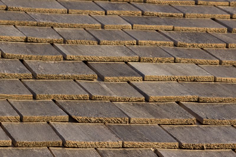 Wood Shake Roof Repair in Lively, VA