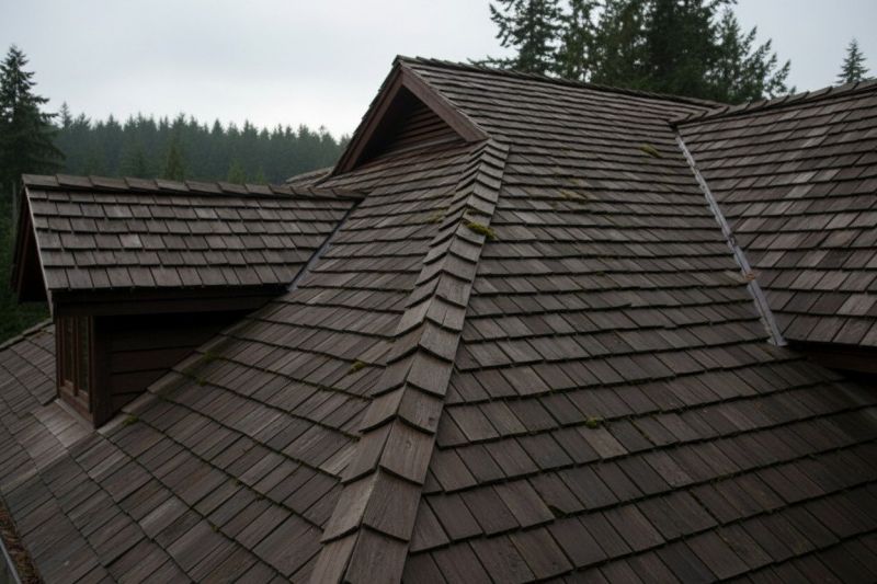 Wood Shake Roof Replacement in Burgess, VA