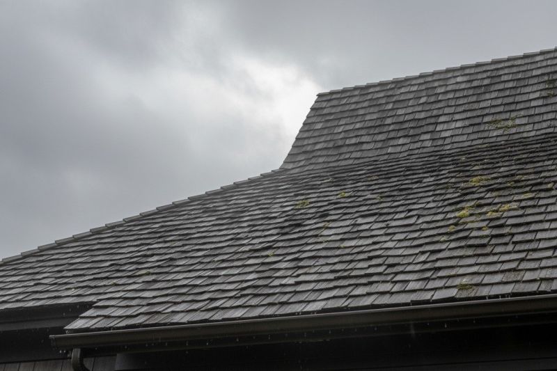 Wood Shake Roof Replacement in Middlesex County, VA